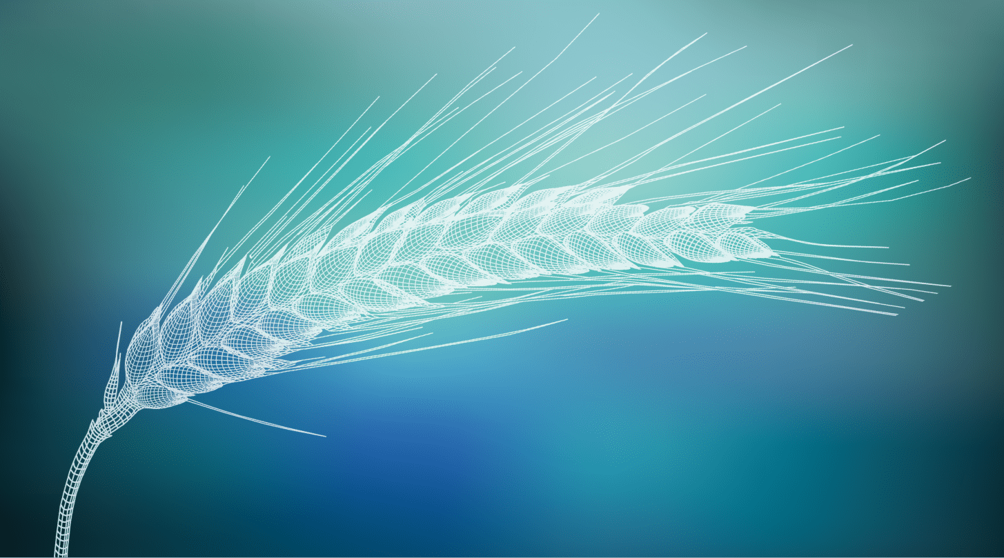 Брендбук «ЕвроХим»